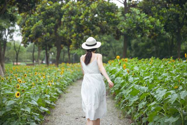 掌握情绪调节的艺术，迈向内心平和的旅程-第2张图片-教呗网